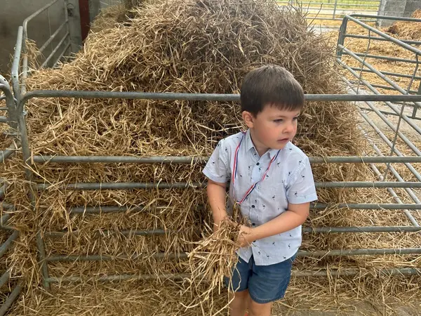 A boy standing by the hay bales in the barn