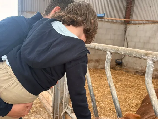 A boy leaning over to pet a donkey in the barn