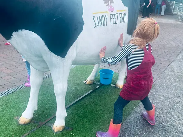 A child trying the milking demonstration on the model cow