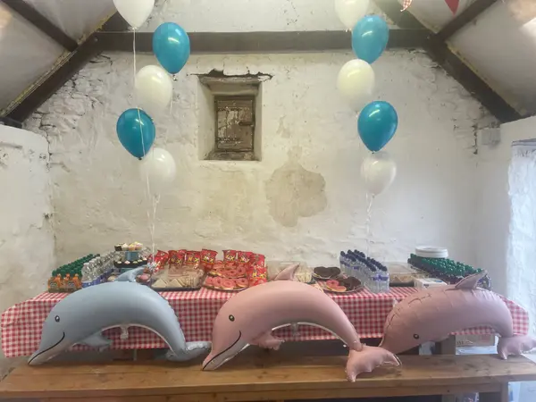 The party table decorated with balloons and dolphin plush toys